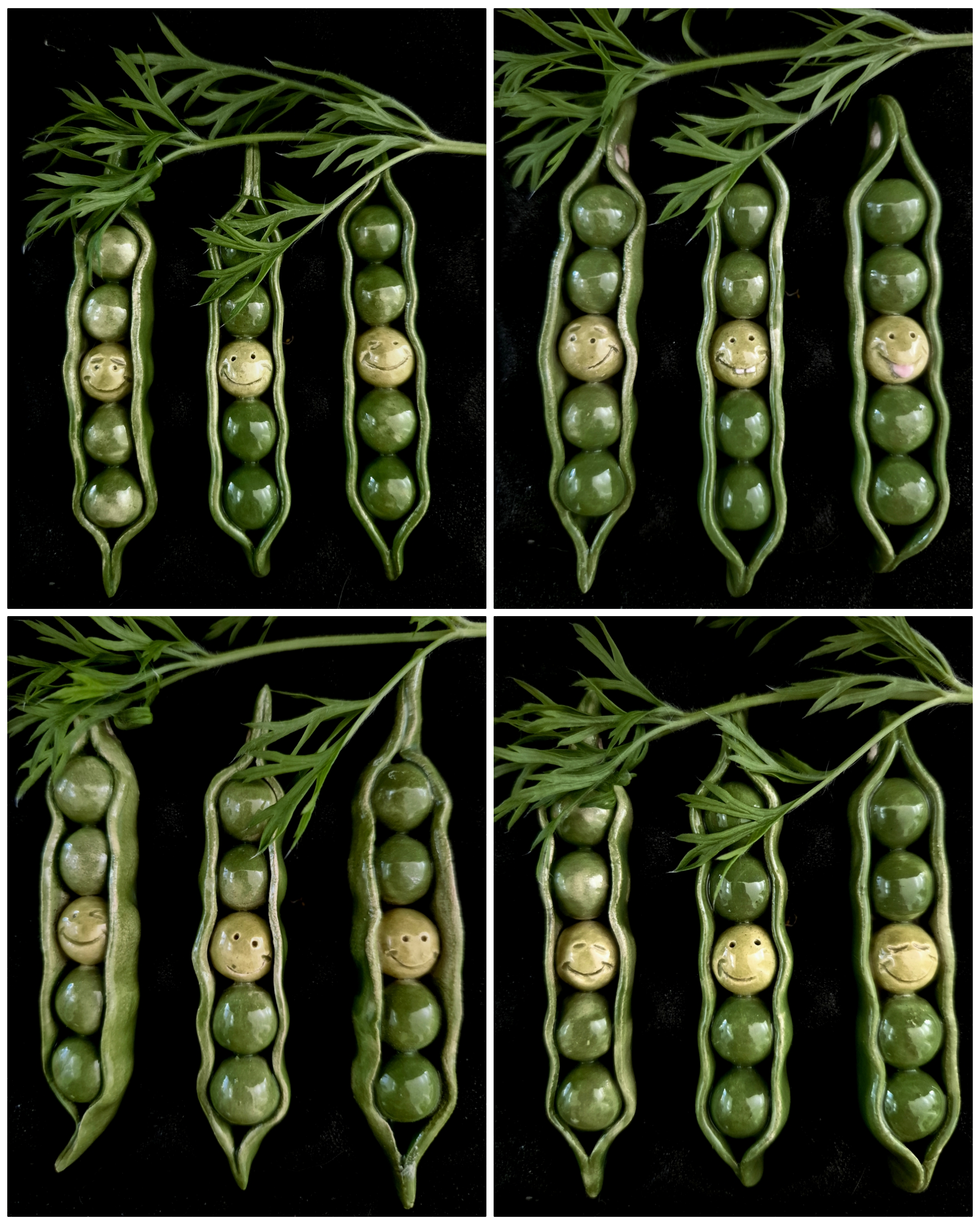 Erbsen3